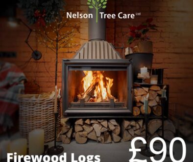 firewood-logs-sq